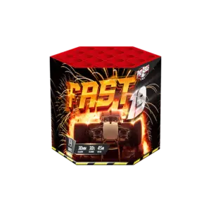 FAST 19